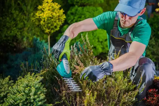 landscaping services Tchula